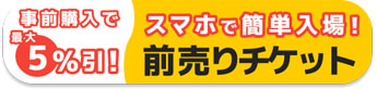 前売りチケット